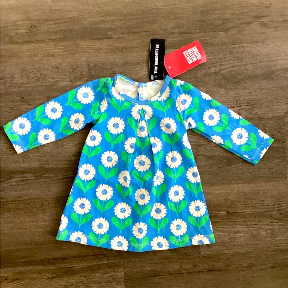 Winter Water Factory Floral Dress